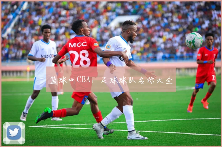 篮球叫CBA，足球球队名称大全
