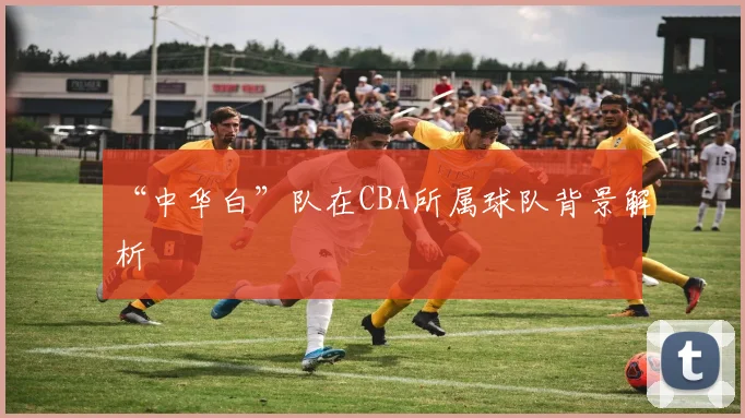 “中华白”队在CBA所属球队背景解析