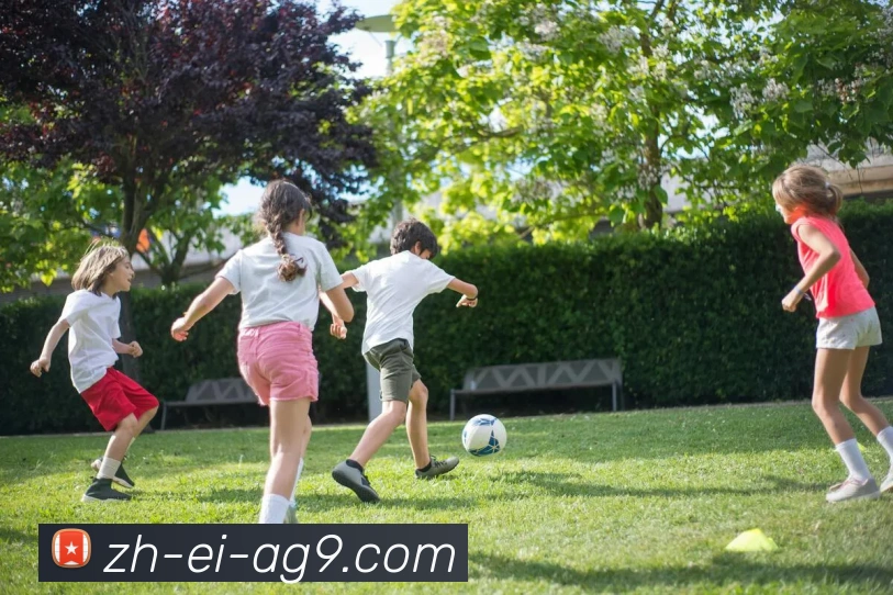 ag9游会发展历程